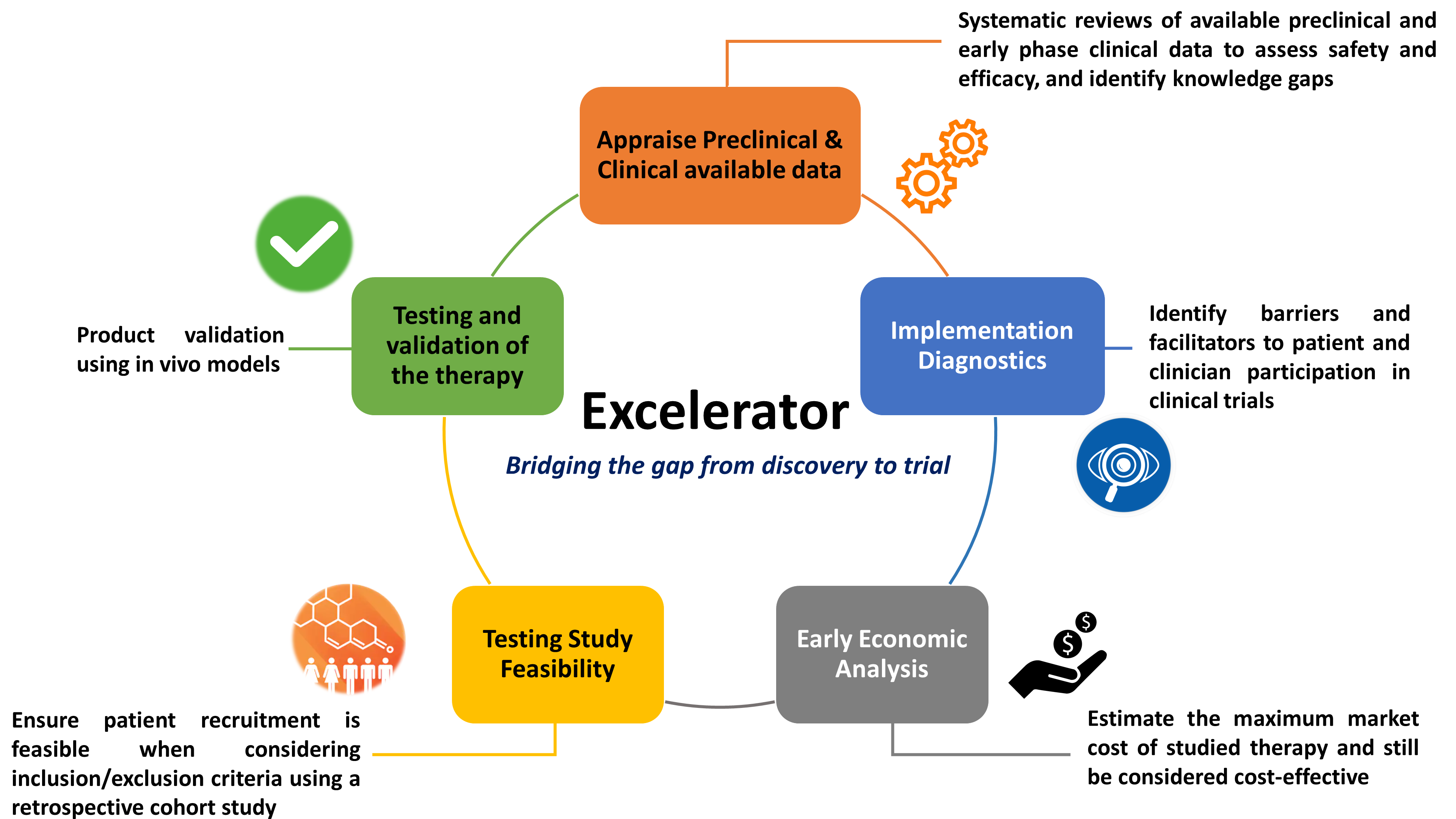 graphic showing steps to bridge the gap from discovery to clinical trial