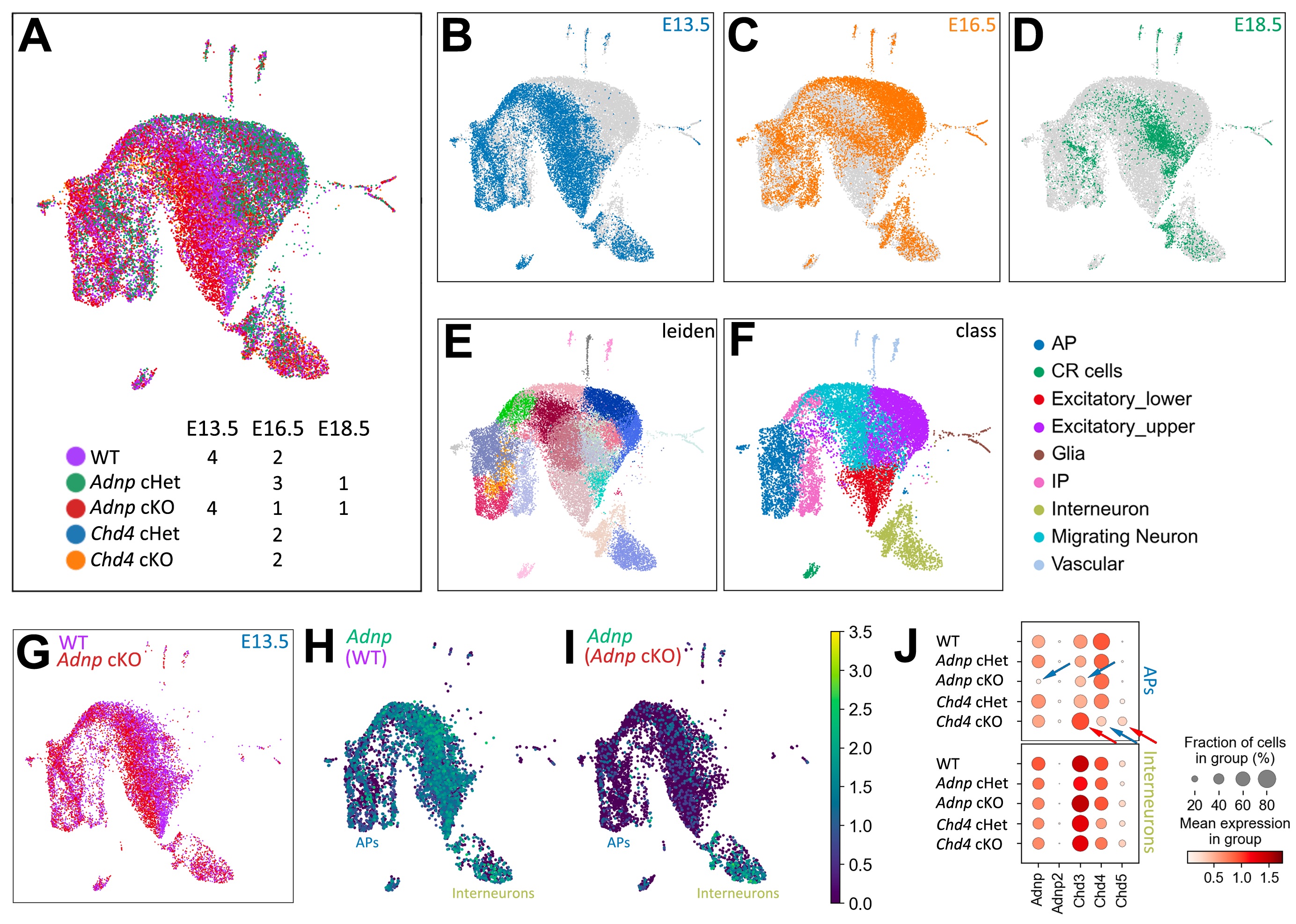 Figure showing multiple images of biological sample