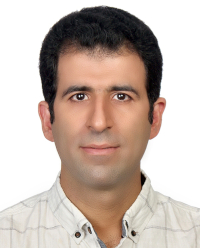 Dr. Seyed Hadi Mirfazaelia