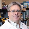 Could a molecule triggered by running help treat MS?