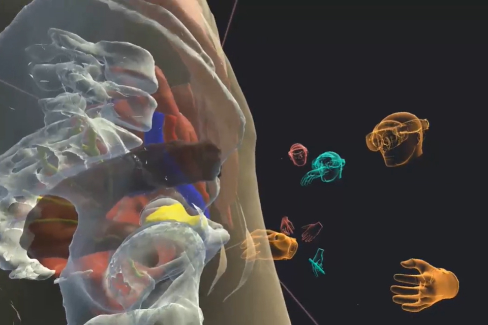 2D screenshot of a 3D virtual reality depiction of the human body