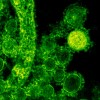Synthetic biology startup raises US$ 2M