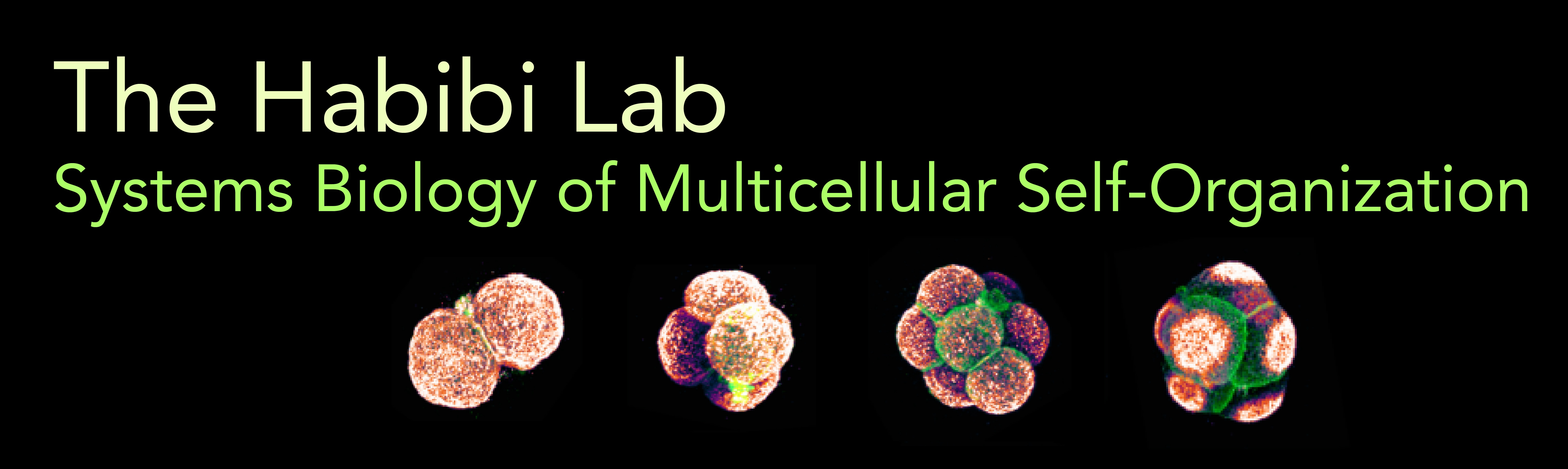 Habibi Lab