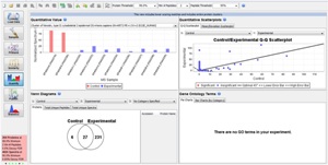 scaffold software