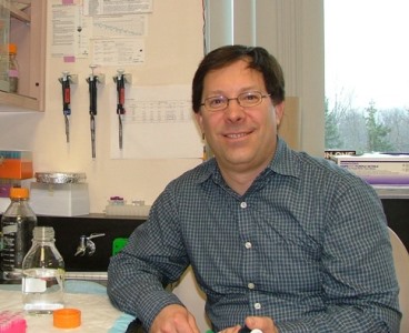 a person sitting at a table