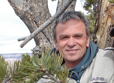 a person standing next to a tree