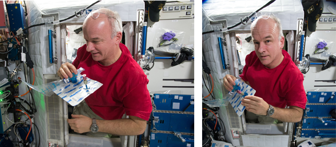 a person in a red shirt