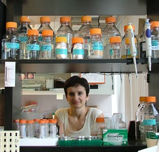 a person standing behind a counter with bottles